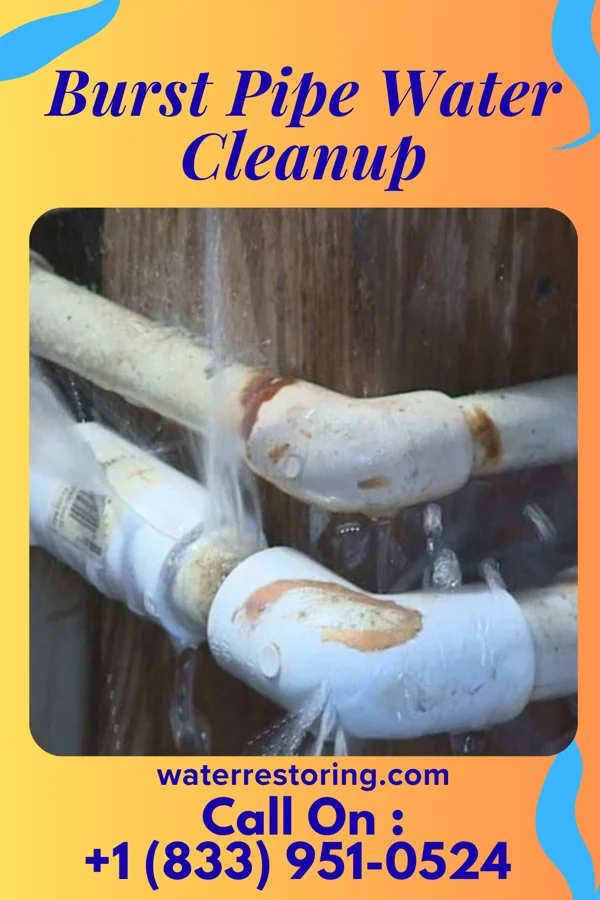 Burst Pipe Water Cleanup in Gibson, TN
