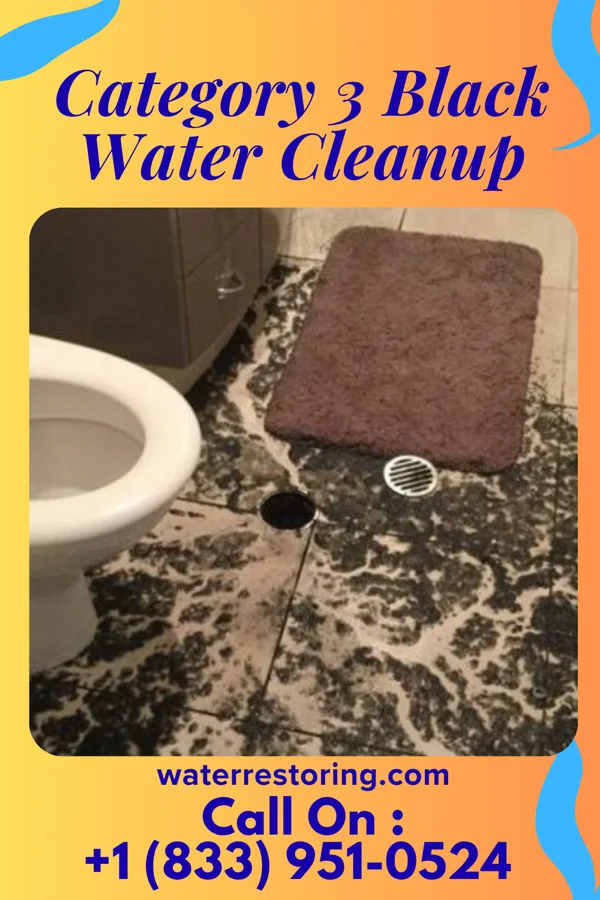 Category 3 Black Water Cleanup in Gibson, TN
