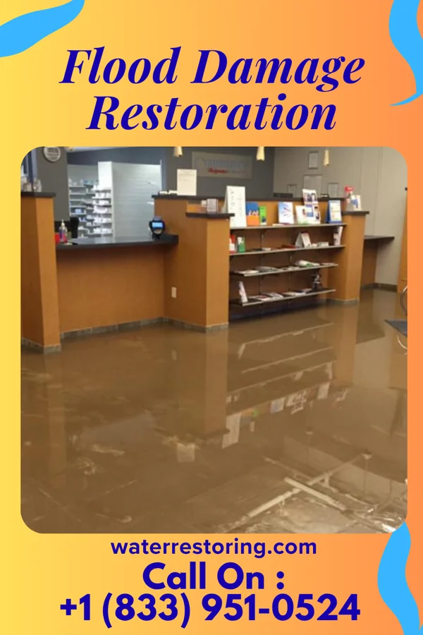 Flood Damage Restoration in Gibson, TN