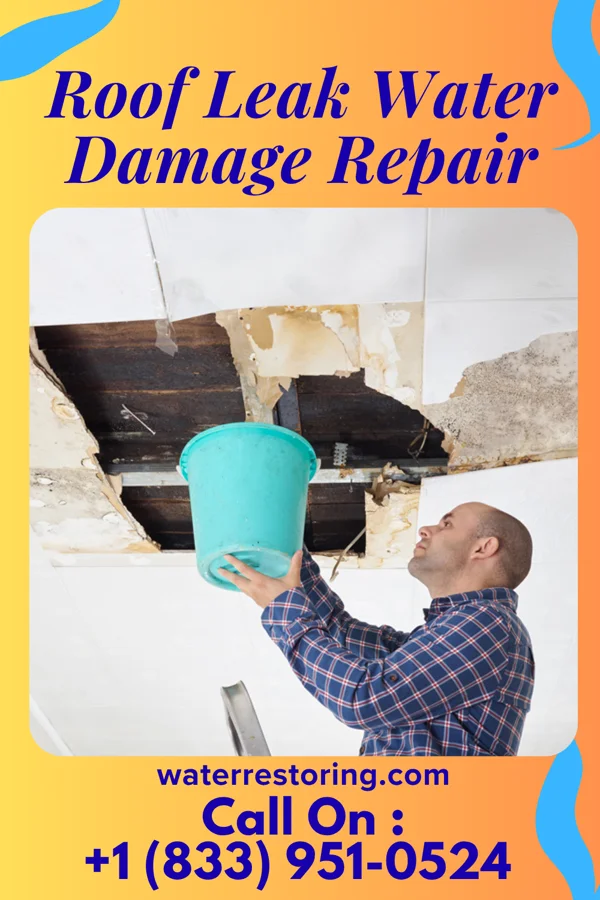 Roof Leak Water Damage Repair in Gibson, TN